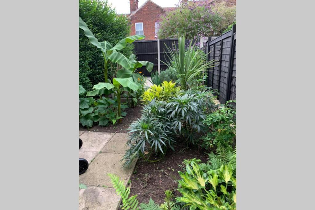 诺里奇Beautiful Two Bed Victorian Terrace House别墅 外观 照片